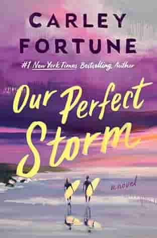 Book cover for OUR PERFECT STORM by Carley Fortune