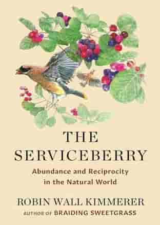Book cover for THE SERVICEBERRY by Robin Wall Kimmerer