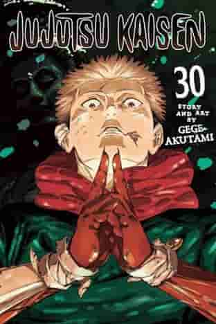 Book cover for JUJUTSU KAISEN, VOL. 30 by Gege Akutami